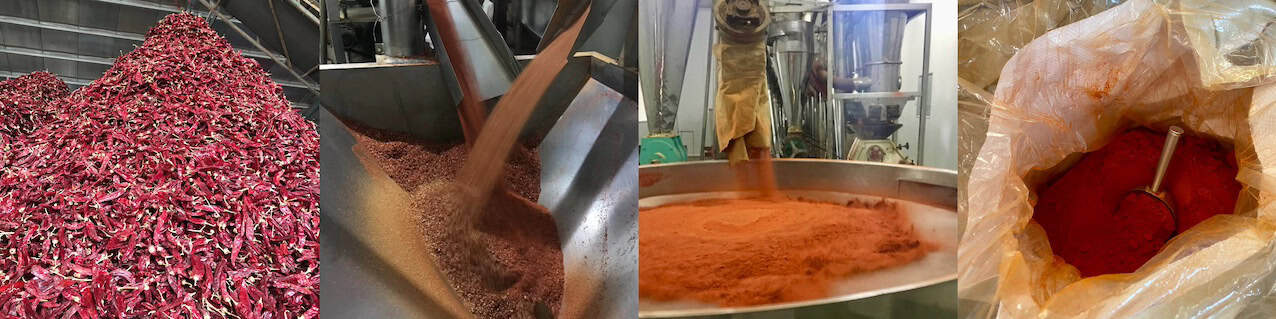Paprika and chilli cleaning and processing line